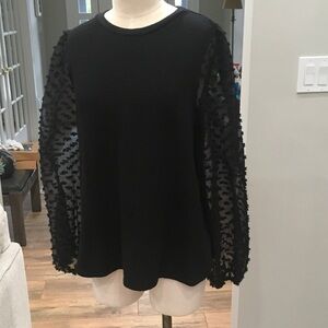 Anthropologie Black Sweater with Sheer Textured Sleeves